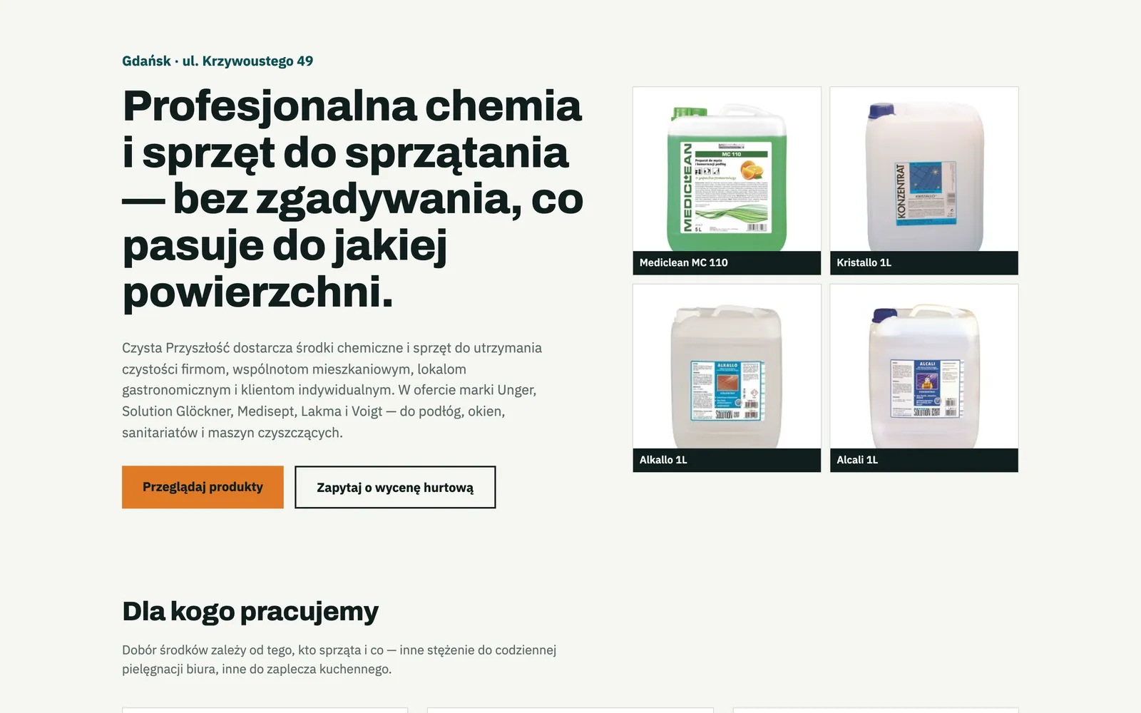 Projekt koncepcyjny strony: Chemia i sprzęt do sprzątania dla firm