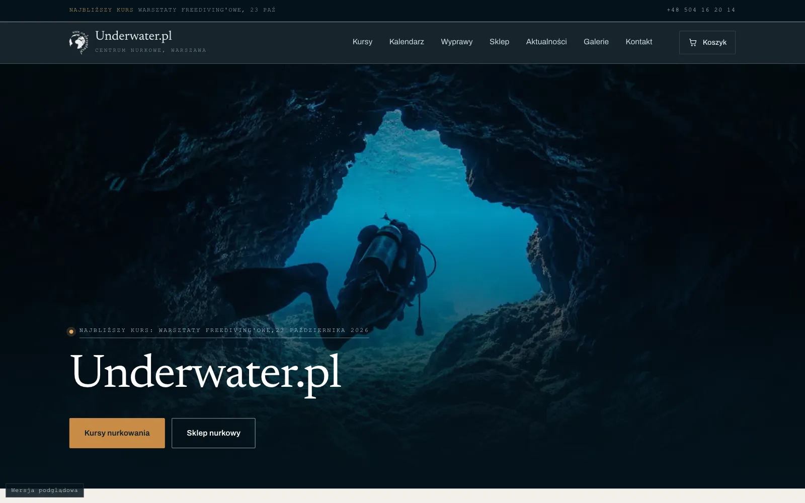Underwater.pl - widok desktop